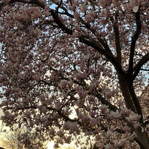 Meet your Posher, Kylie